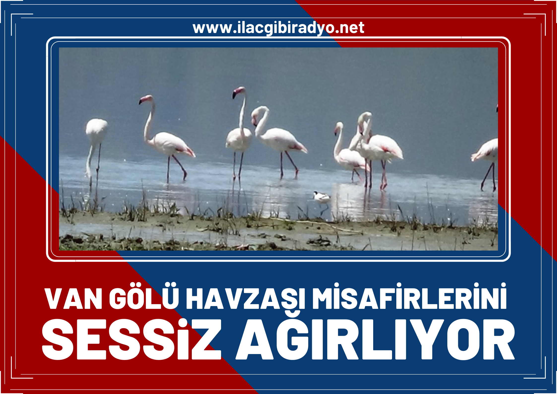 Van Gölü Havzası misafirlerini ‘sessiz’ ağırlıyor!