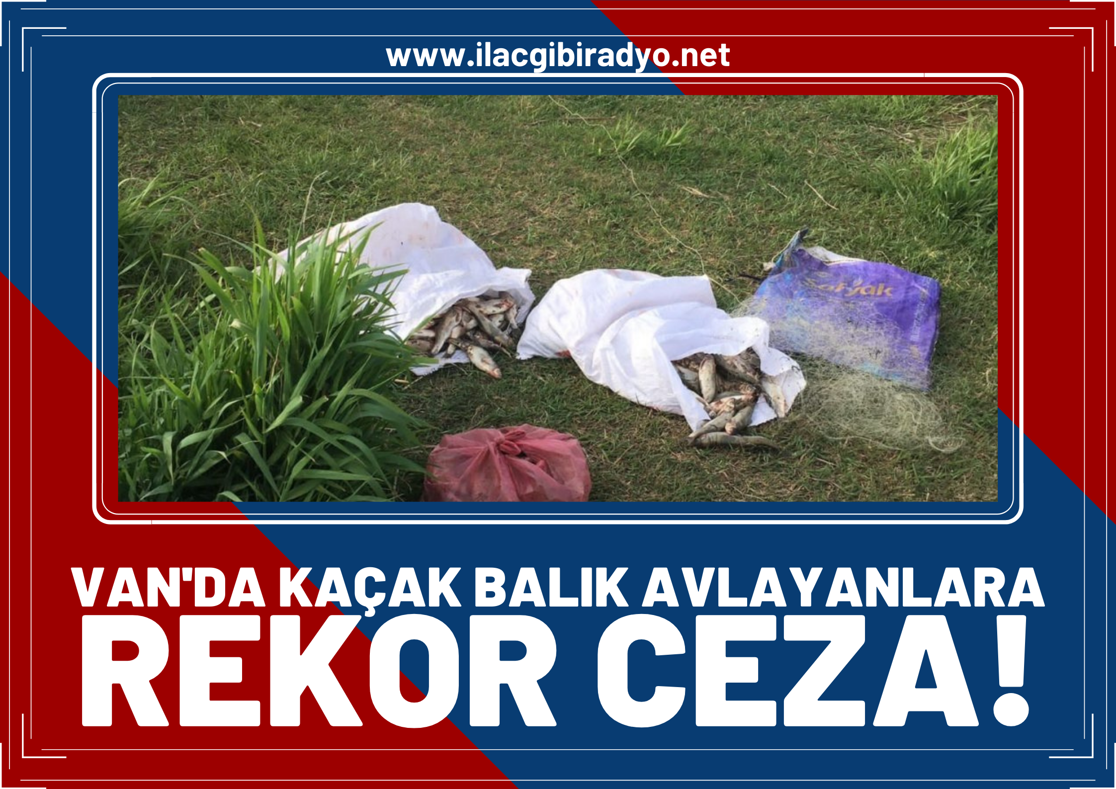 Van Balığı’nı kaçak avlayanlara rekor ceza!