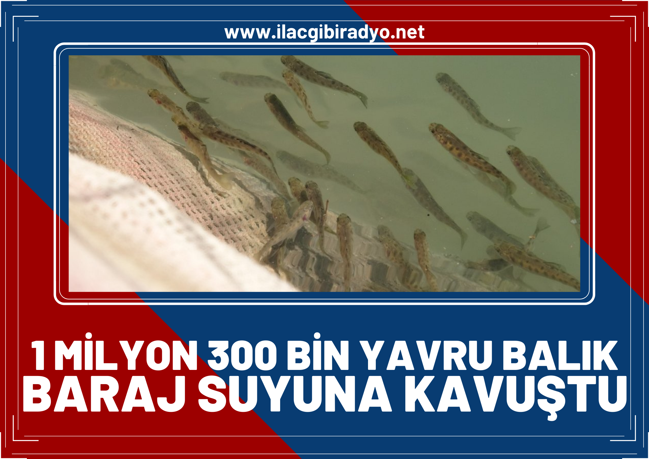 1 milyon 300 bin yavru balık baraj suyuna kavuştu