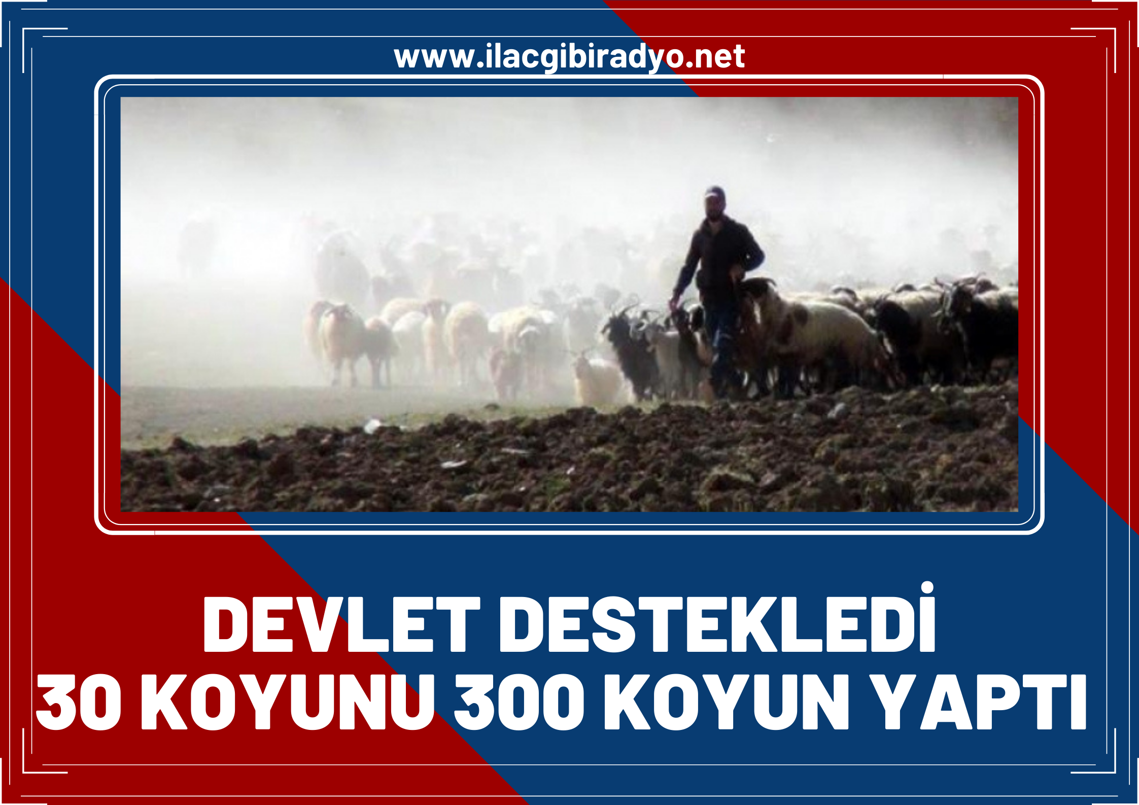 Devlet desteği ile çiftlik kurdu, 30 koyununu şimdi 300 yaptı!