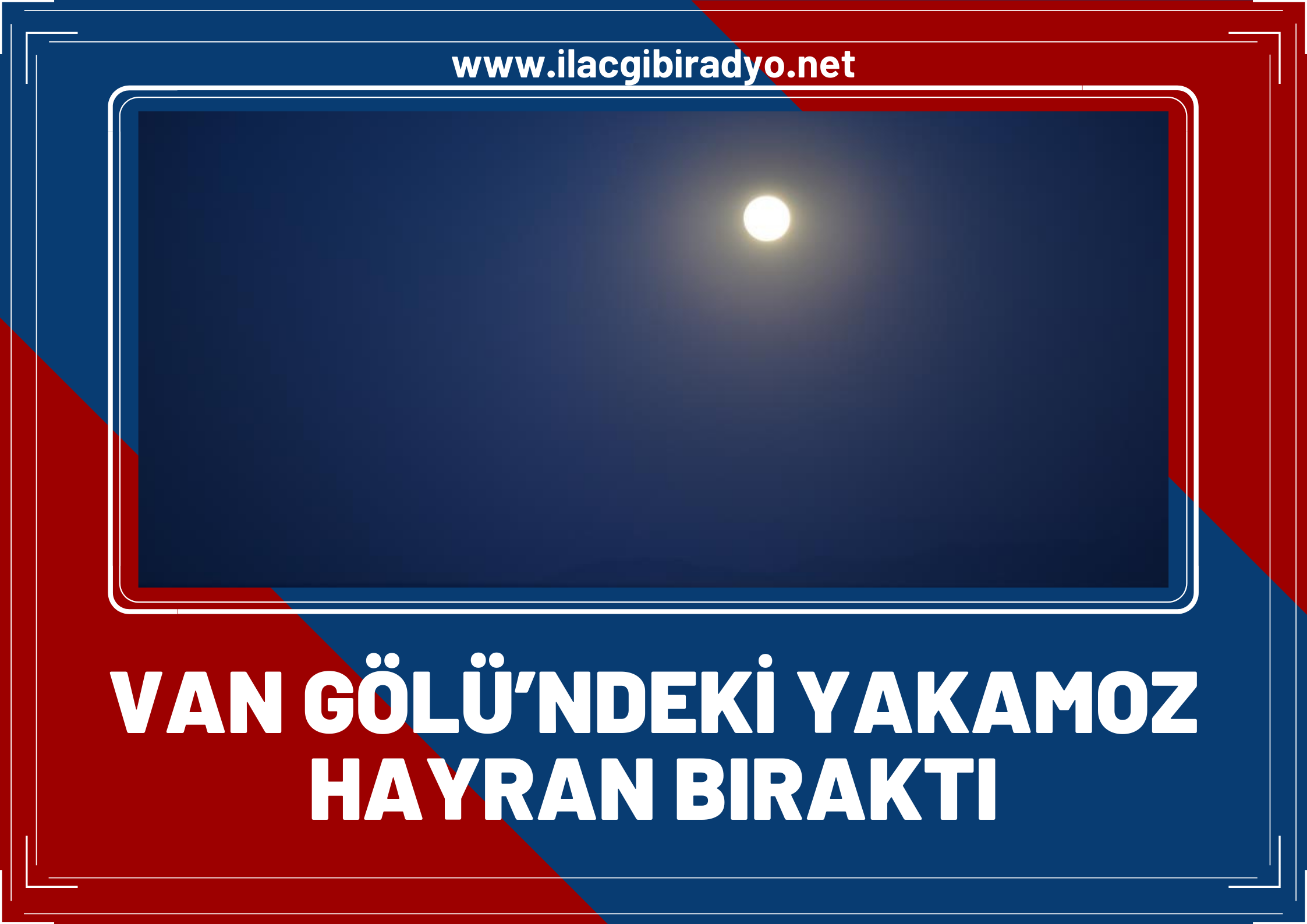 VAN GÖLÜ’NDEKİ YAKAMOZ HAYRAN BIRAKTI