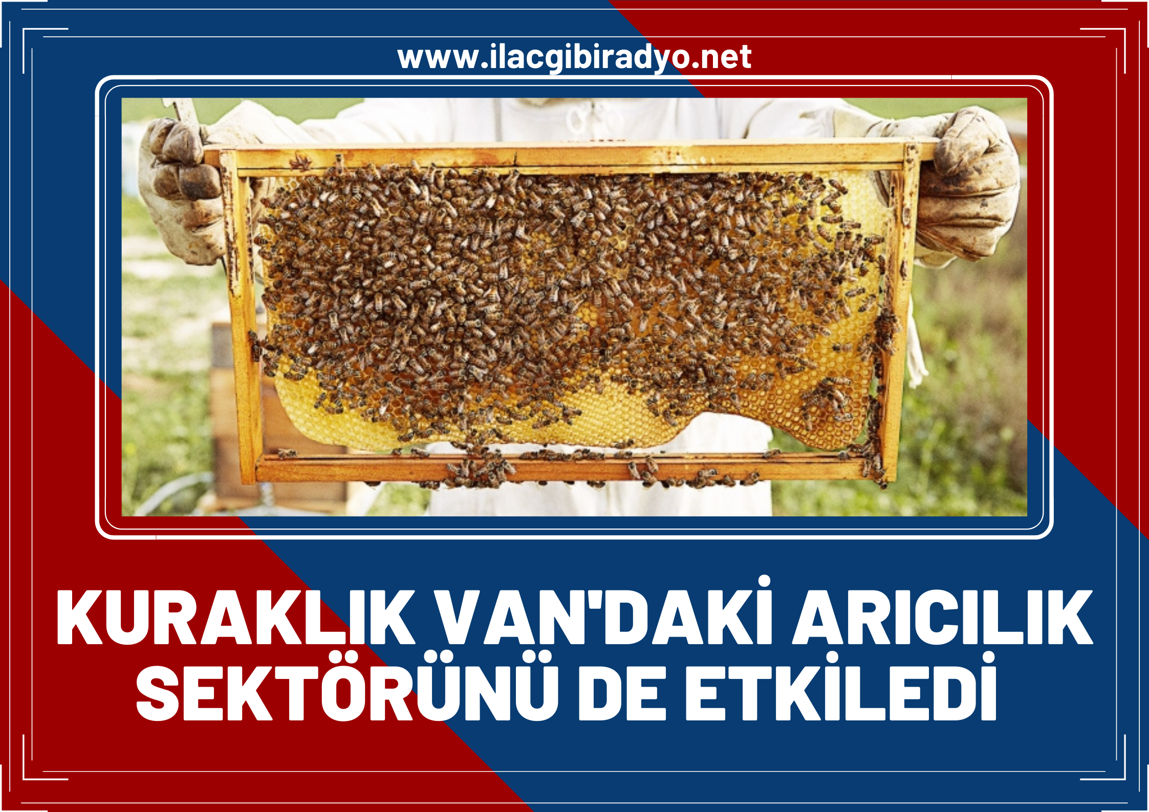 Kuraklık Van’daki arıcılık sektörünü de etkiledi!