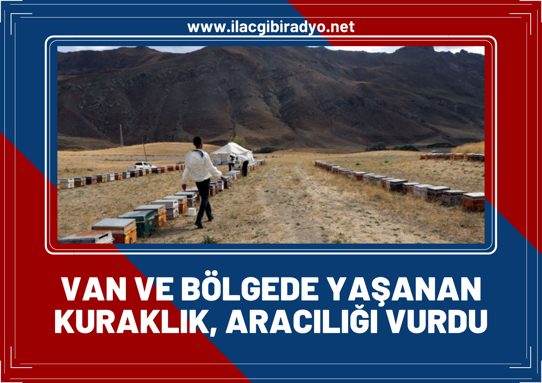 Van ve bölge illerde yaşanan kuraklık, arıcılığı vurdu!