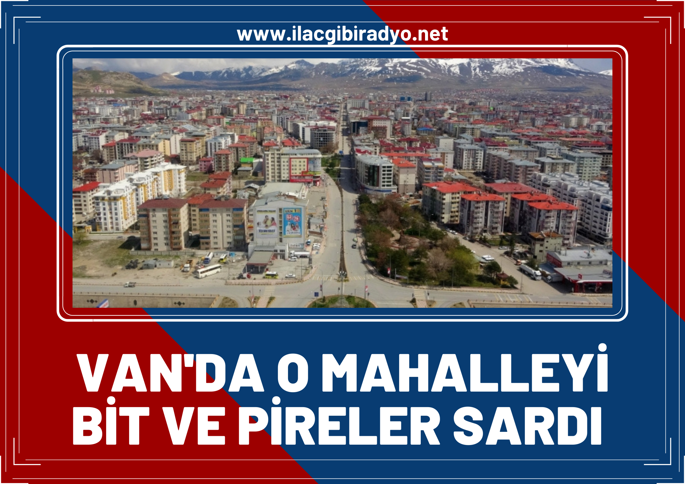 Van'da o mahalleyi bit ve pireler sardı! Halk tedirgin!