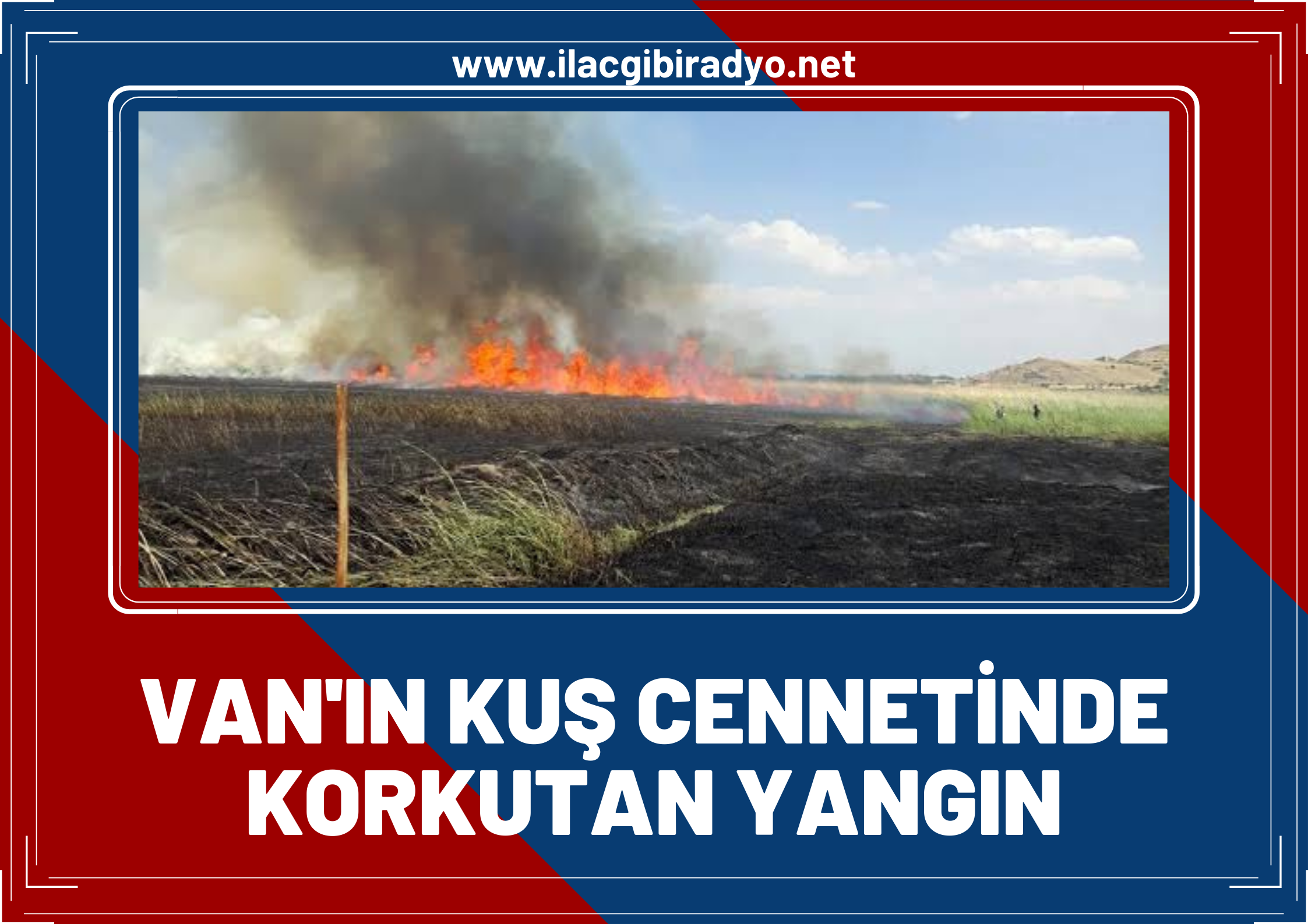 Van’ın kuş cennetinde korkutan yangın