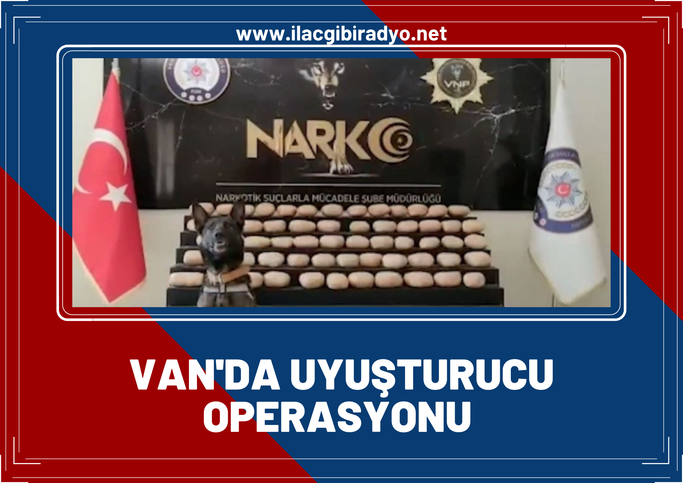 Van’da 62 kilo 700 gram toz esrar ele geçirildi