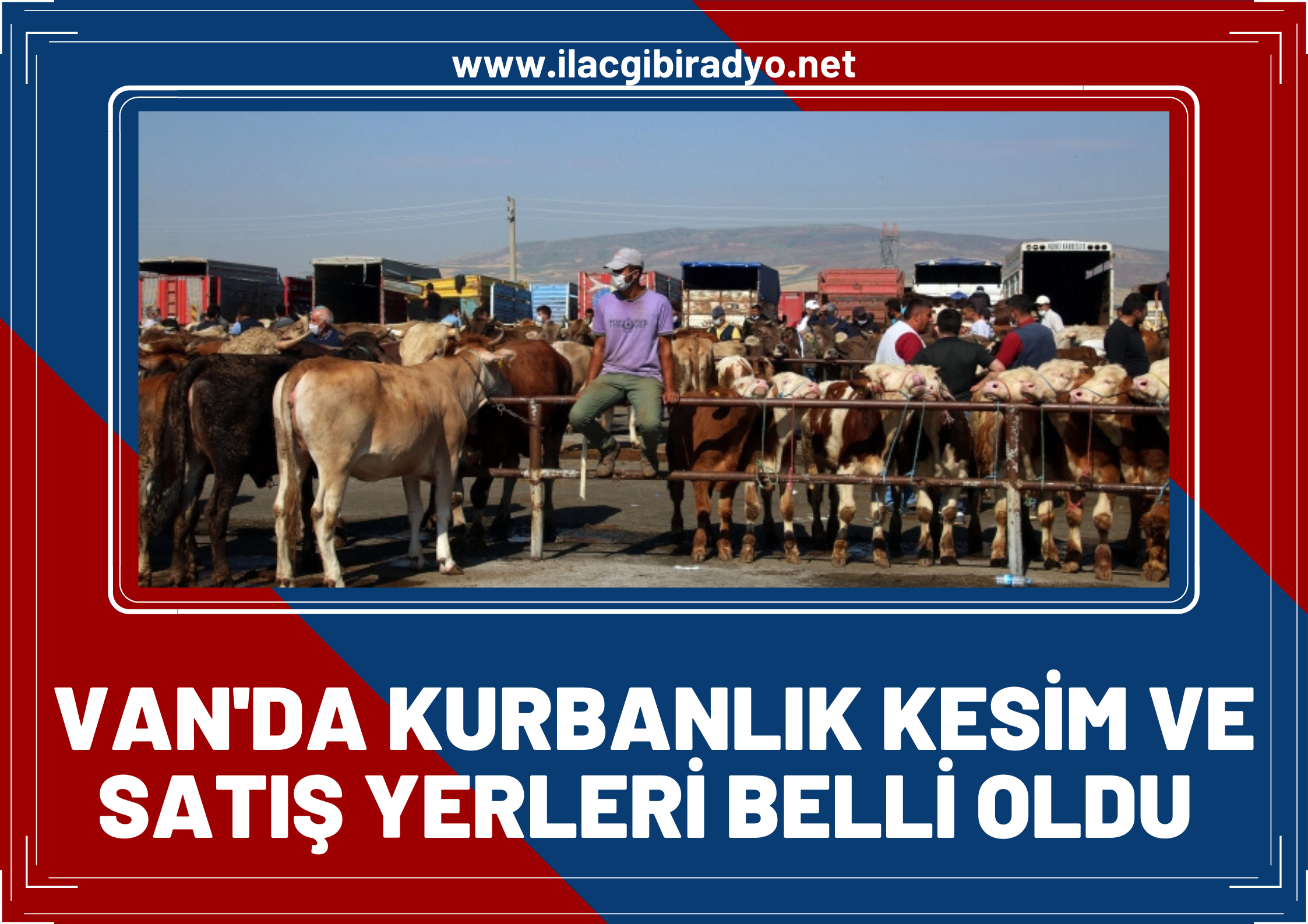 Van’da kurbanlık kesim ve satış yerleri belli oldu! İşte Van’da kurbanlık pazar yerleri, satış yerleri ve kesim yerleri