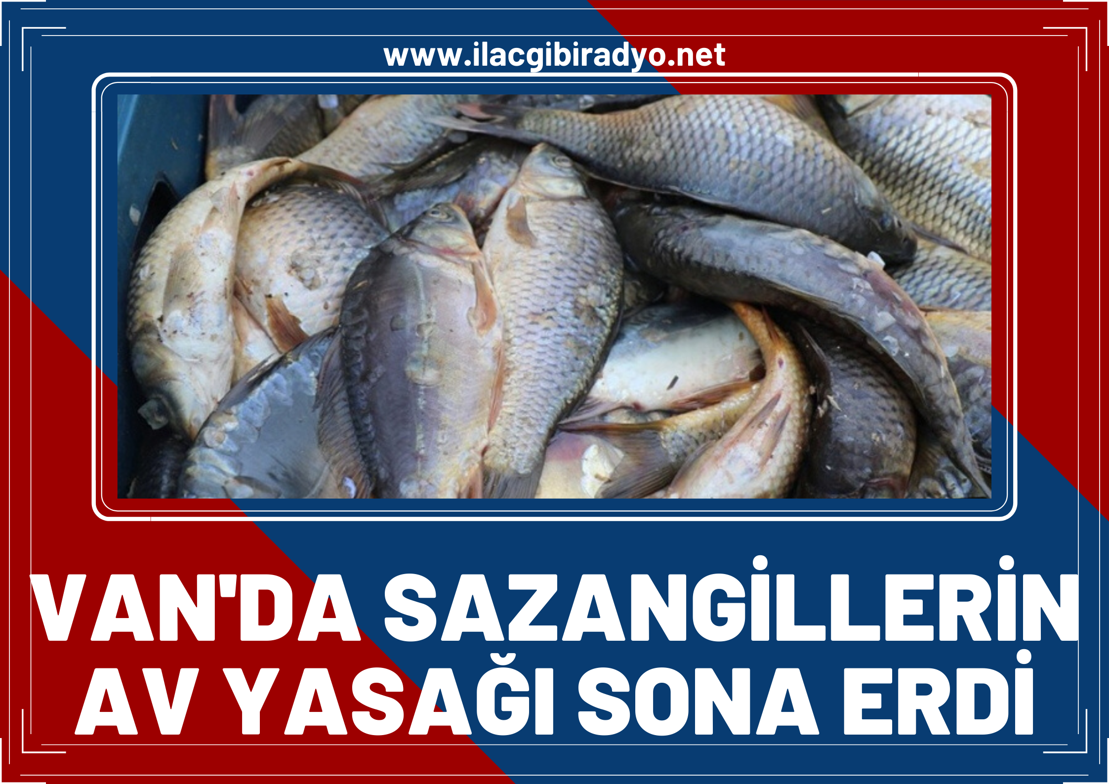 Van’da sazangillerin av yasağı sona erdi