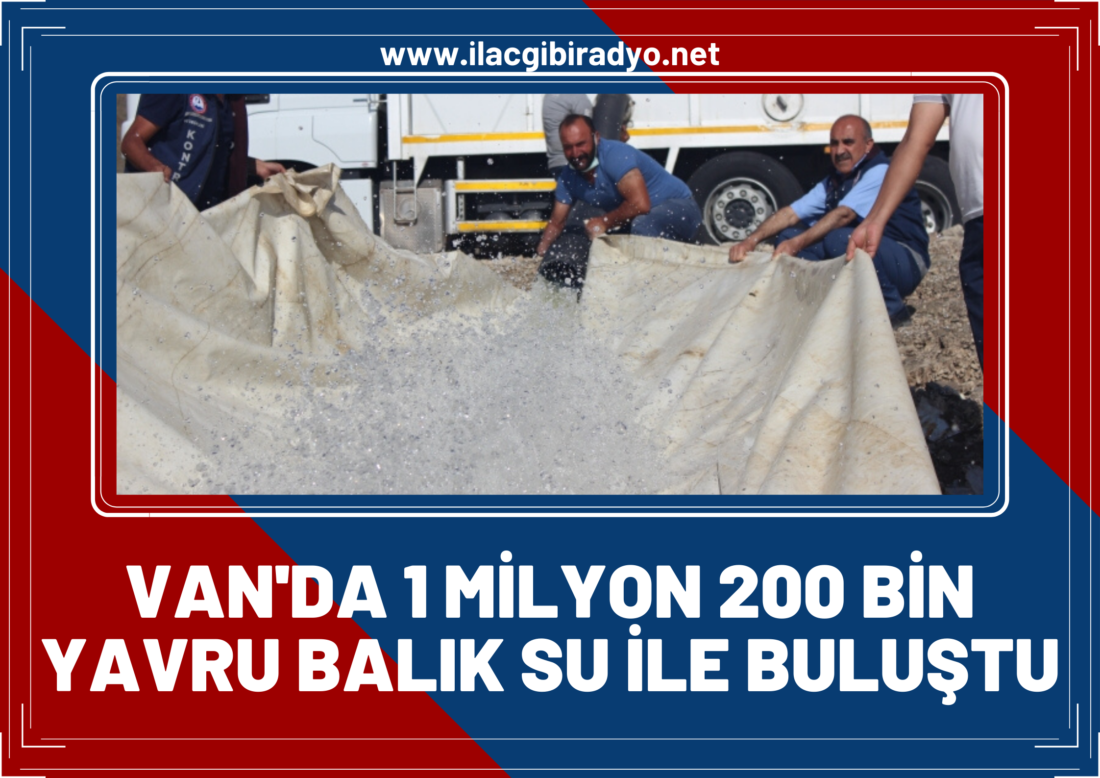 Van’da 1 milyon 200 bin yavru balık suyla buluştu