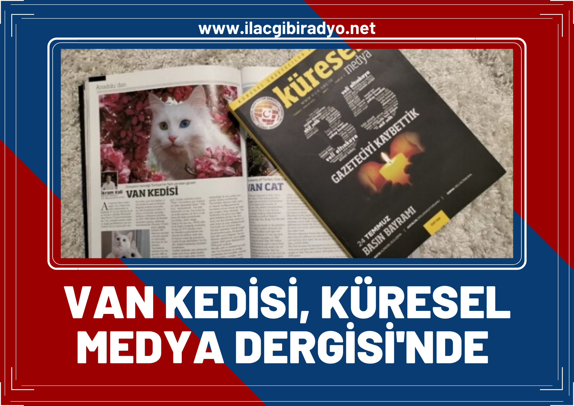 Van Kedisi Küresel Medya Dergisinde!