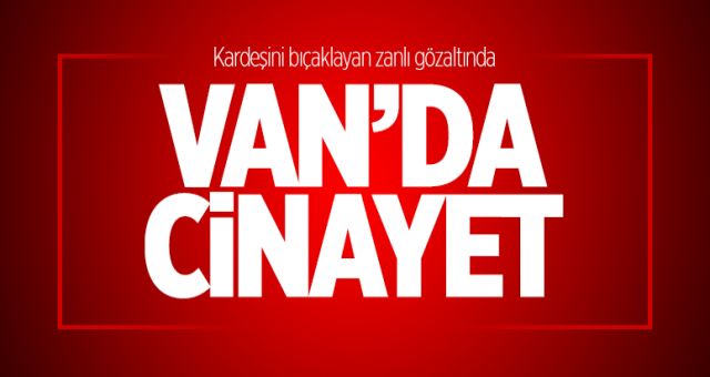 Van'da cinayet! 1 Kişi Gözaltına Alındı