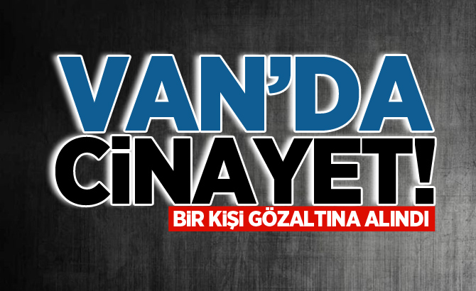 Van'da cinayet 1 kişi gözaltına alındı