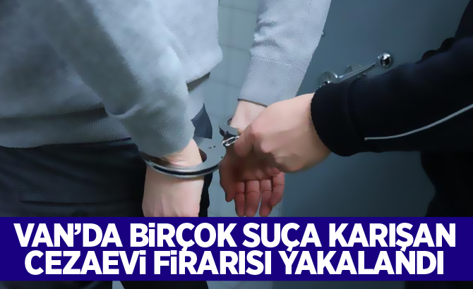 Van'da birçok suça karışan cezaevi firarisi yakalandı