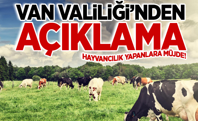 Van Valiliği açıkladı! Hayvancılık yapanlara müjde