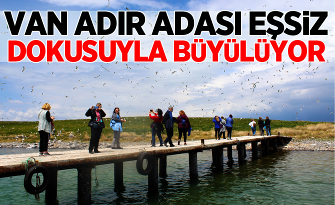 VAN ADIR ADASI EŞSİZ DOKUSUYLA BÜYÜLÜYOR