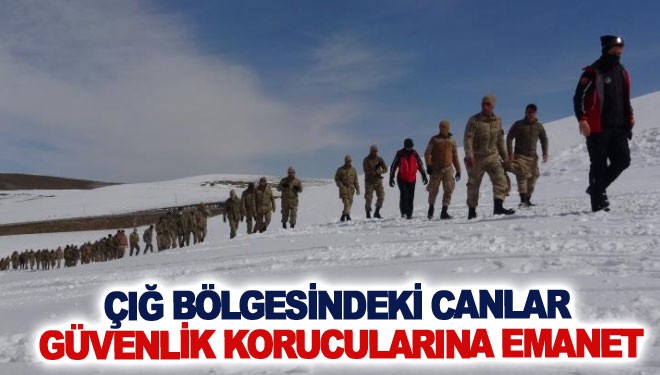 Çığ bölgesindeki canlar güvenlik korucularına emanet