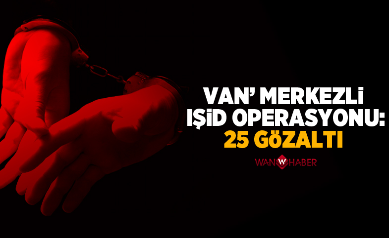 Van merkezli DEAŞ operasyonu: 25 gözaltı