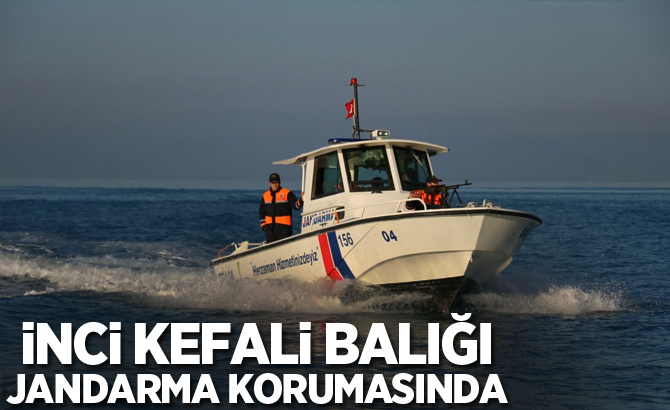 İnci kefali balığı jandarma korumasında