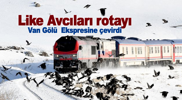 Like Avcıları rotayı Van Gölü Ekspresine çevirdi