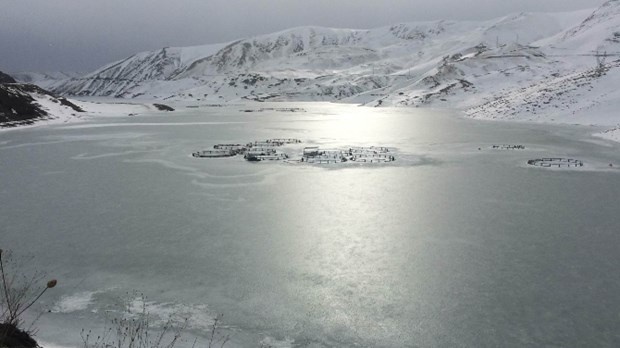 Van'da 105 milyon metreküp su kapasitesine sahip baraj dondu