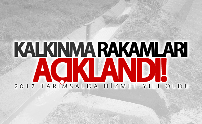 2017 tarımsalda hizmet yılı oldu! İşte harcanan rakamlar