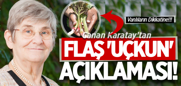 Canan Karatay'tan flaş 'uçkun' açıklaması!