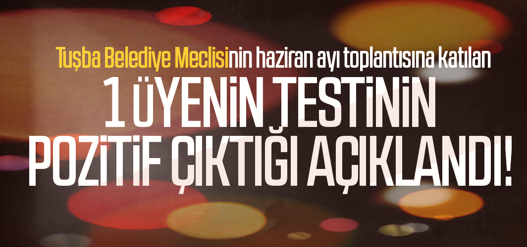 Tuşba Belediye Meclisinin haziran ayı toplantısına katılan 1 üyenin testinin pozitif çıktığı açıklandı