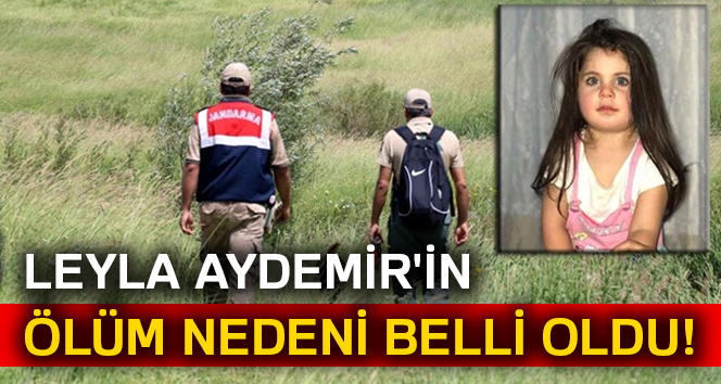 Ağrı Valisi'nden Leyla Aydemir'in ölümüyle ilgili açıklama