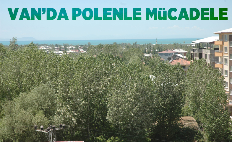 Van’da polenle mücadele 