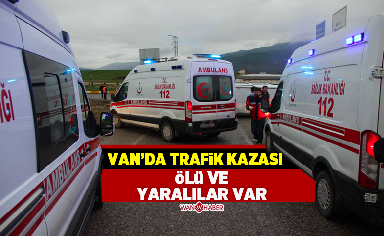 Van'da kamyonet şarampole yuvarlandı: Ölü ve yaralılar var