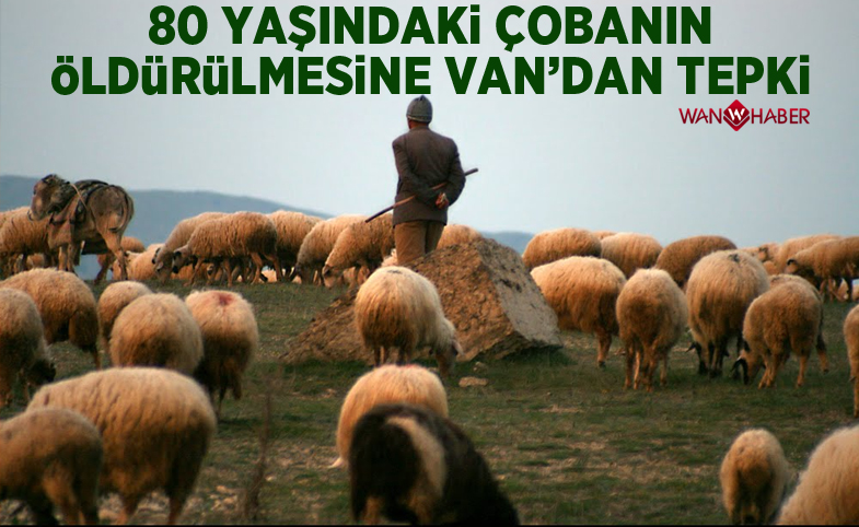 80 yaşındaki çobanın öldürülmesine Van'dan tepki