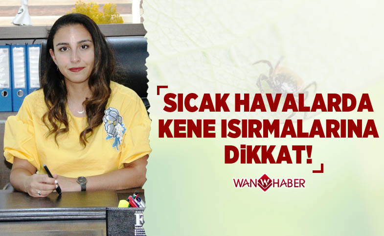 Sıcak havalarda kene ısırmalarına dikkat