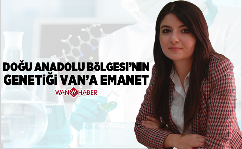 Doğu Anadolu Bölgesi'nin genetiği Van’a emanet 