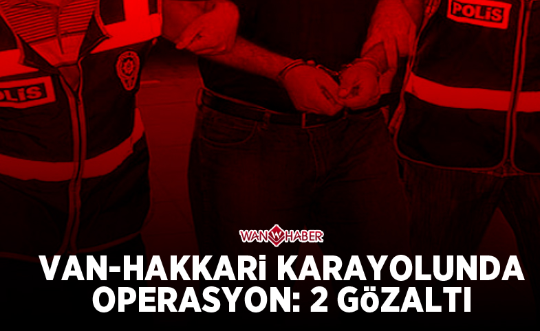 Van-Hakkari karayolunda operasyon: 2 gözaltı