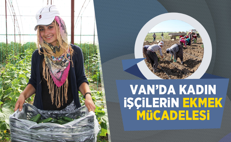 Van'da kadın işçilerin ekmek mücadelesi