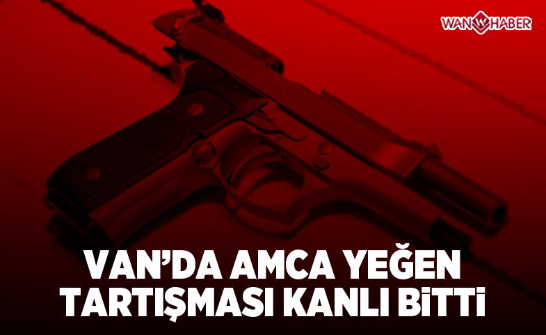 Van'da amca yeğen tartışması kanlı bitti