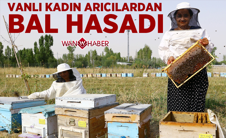 Vanlı kadın arıcılardan bal hasadı