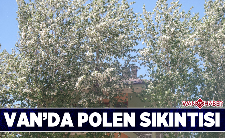 Van’da polen sıkıntısı 