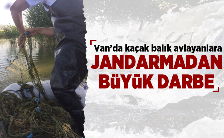 Van'da kaçak balık avlayanlara jandarmadan büyük darbe