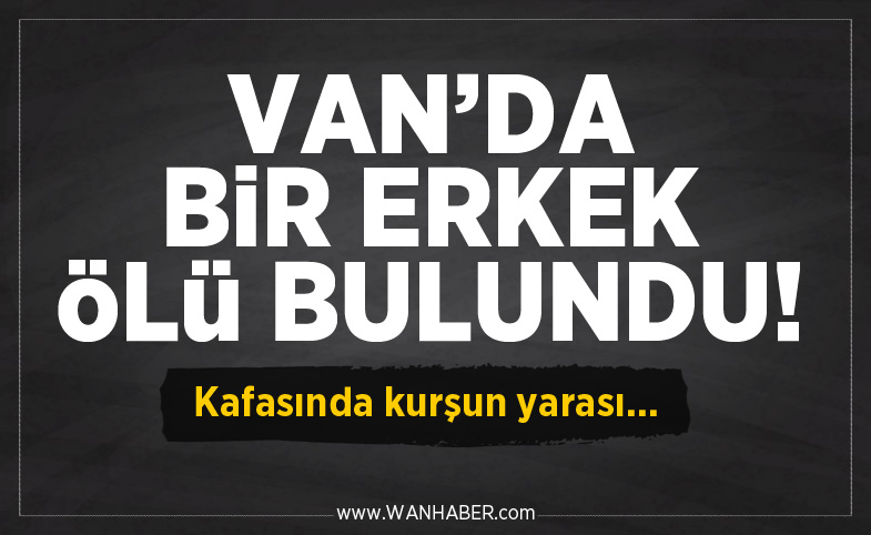 Van’da bir erkek ölü bulundu