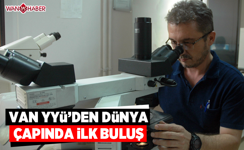 Van YYÜ'den dünya çapında ilk buluş