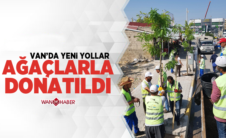 Yeni yollar ağaçlarla donatıldı