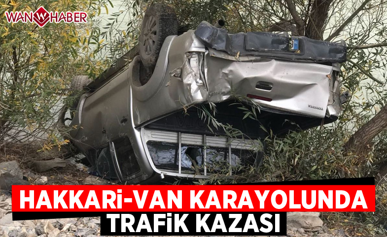 Hakkari-Van karayolunda trafik kazası