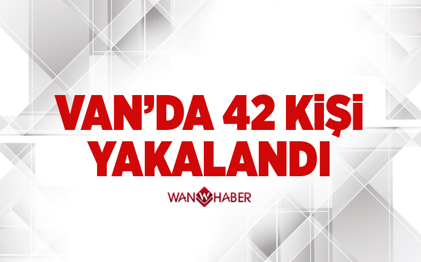 Van’da 42 kaçak şahıs yakalandı