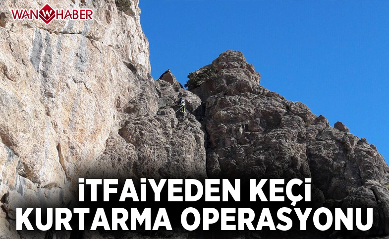 İtfaiyeden "Keçi Kurtarma" operasyonu