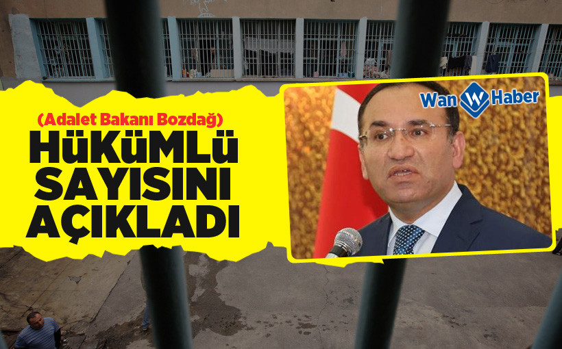 Bozdağ hükümlü sayısını açıkladı!