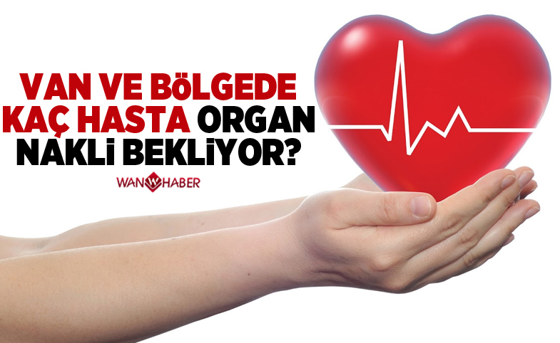 Van ve bölgede kaç hasta organ nakli bekliyor?