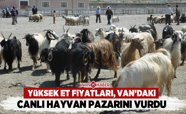 Et fiyatları Van'daki canlı hayvan pazarını vurdu