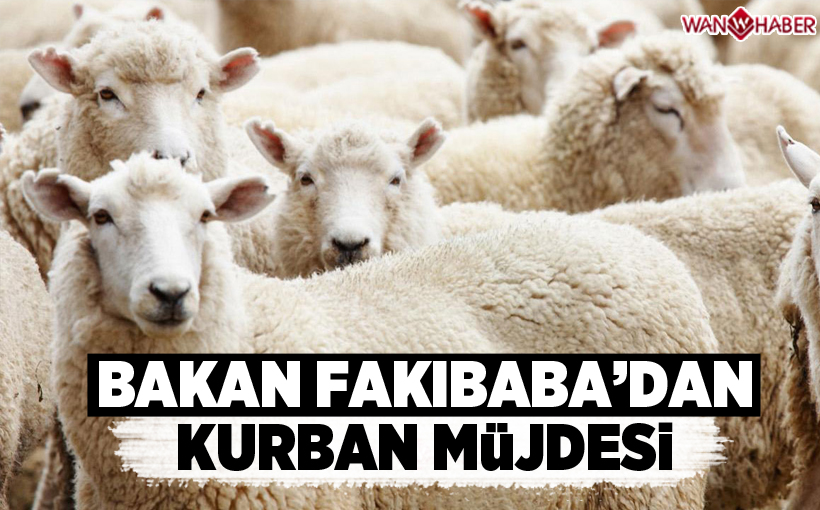 Bakan Fakıbaba'dan Kurban Bayramı müjdesi