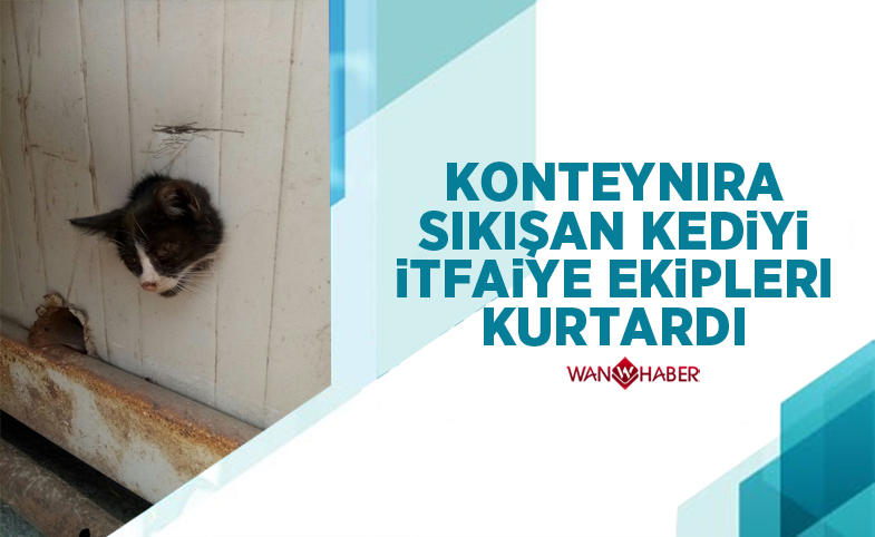 Konteynıra sıkışan kediyi itfaiye ekipleri kurtardı